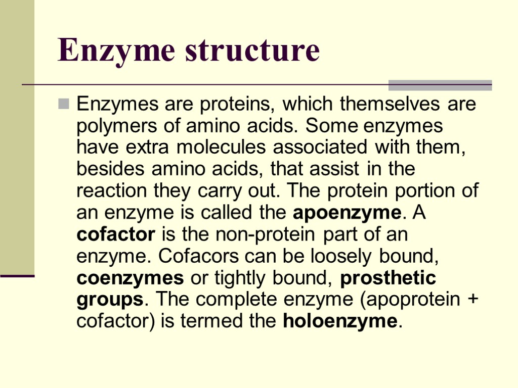Enzyme structure Enzymes are proteins, which themselves are polymers of amino acids. Some enzymes